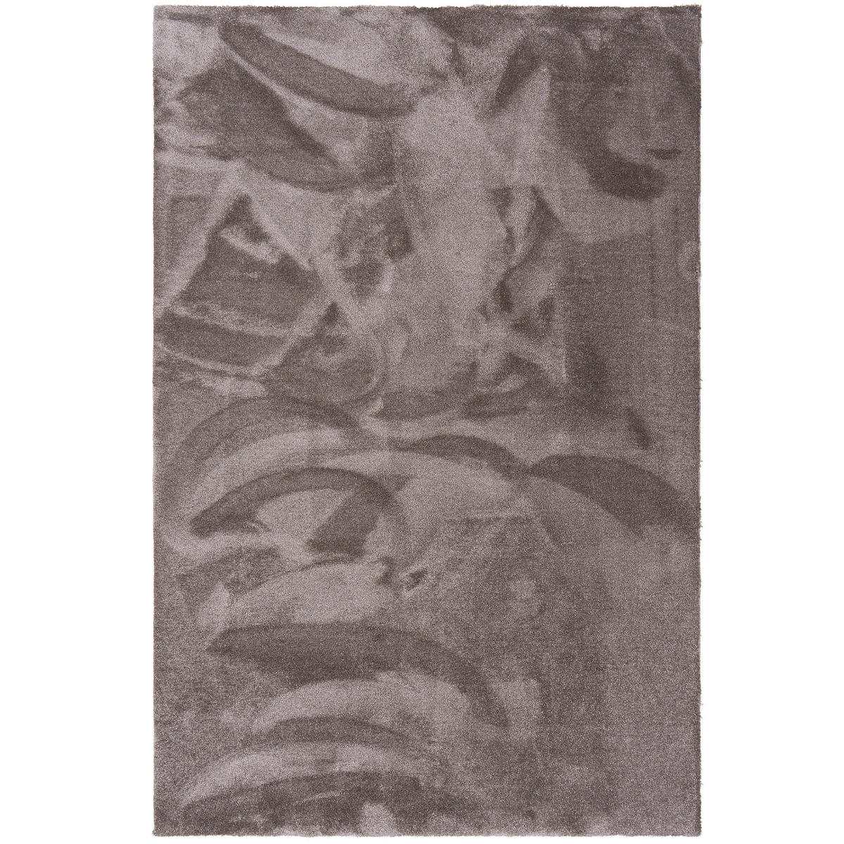 HOCHFLORTEPPICH LIVORNO SUPER SOFT - Taupe, Textil (100/300cm) - Snapstyle