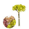 KUNSTBLUME Viridis Gipsputz Grün 30/30/30 cm Kunstoff - Grün, Kunststoff (30cm) - Mondex