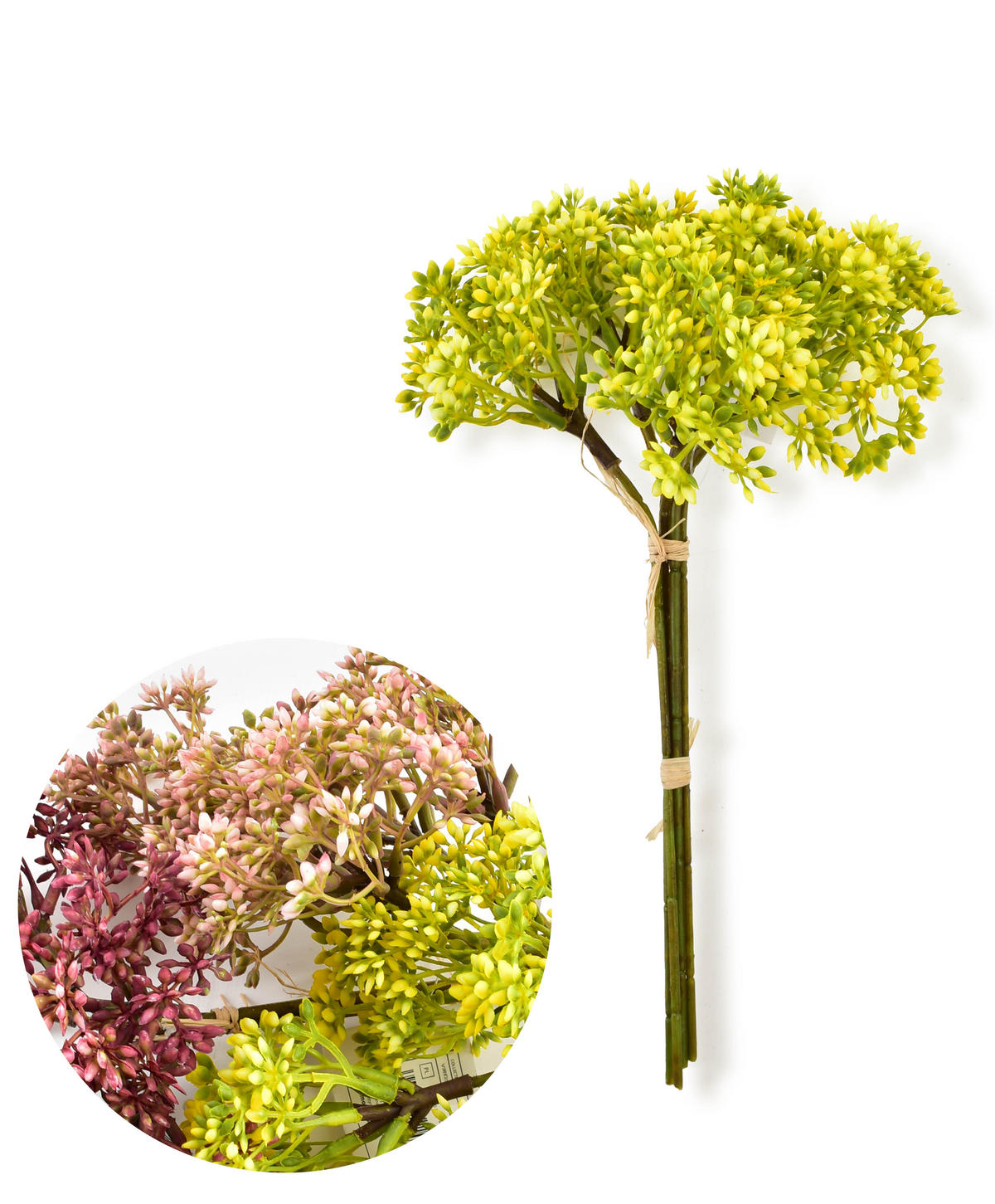 KUNSTBLUME Viridis Gipsputz Grün 30/30/30 cm Kunstoff - Grün, Kunststoff (30cm) - Mondex
