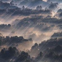 FOTOTAPETE Landschaft 300 x 250 cm - Grau, Papier (300/250cm) - Sanders & Sanders