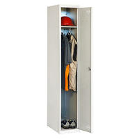SPIND Amego 1 Abteil HxBxT 180 x 30 x 50 cm Abteilbreite 30 cm - Hellgrau, Metall (30/180/50cm) - PROREGAL