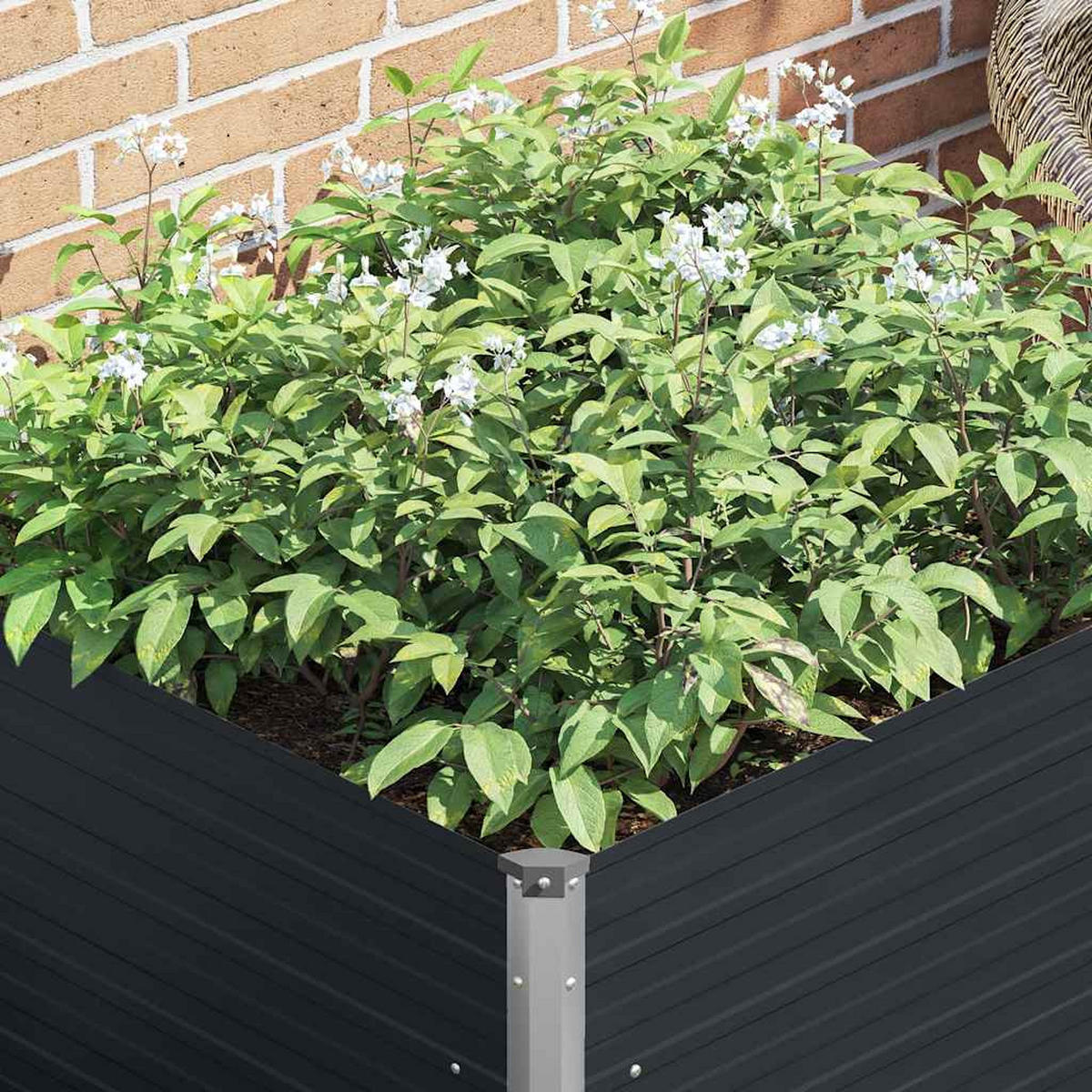 HOCHBEET Anthrazit 100/100/77 Cm Verzinkter Stahl - Anthrazit, Metall (100/77/100cm) - vidaXL
