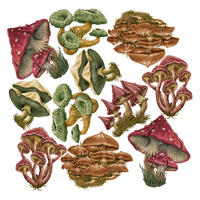 WANDAUFKLEBER 130x62cm - Pilzwiese - Multicolor, Kunststoff (130/62/0.1cm) - Wallfluent