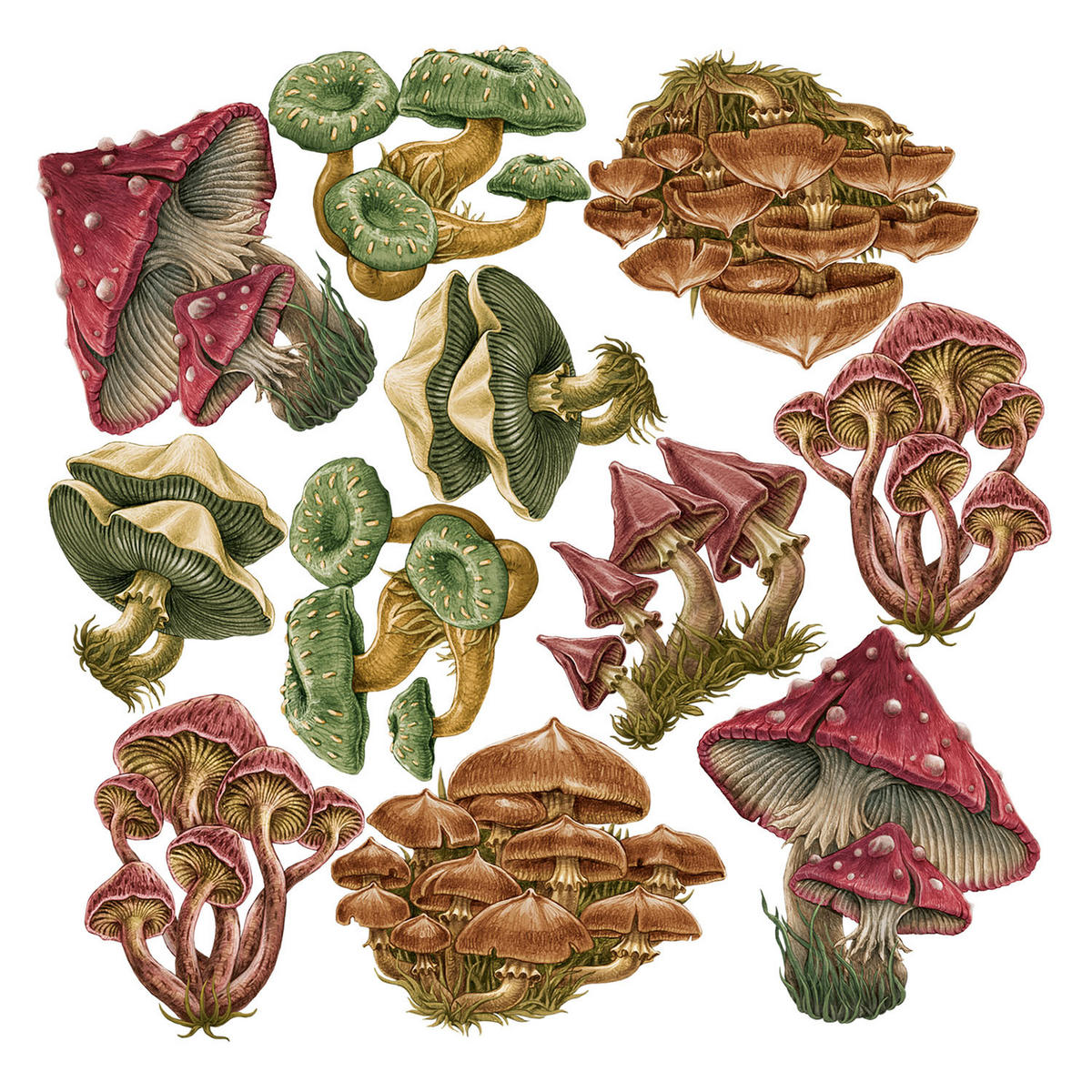 WANDAUFKLEBER 130x62cm - Pilzwiese - Multicolor, Kunststoff (130/62/0.1cm) - Wallfluent