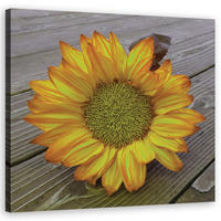 WANDBILD gelbe sonnenblume - Gelb, Textil (50/50cm) - Feeby