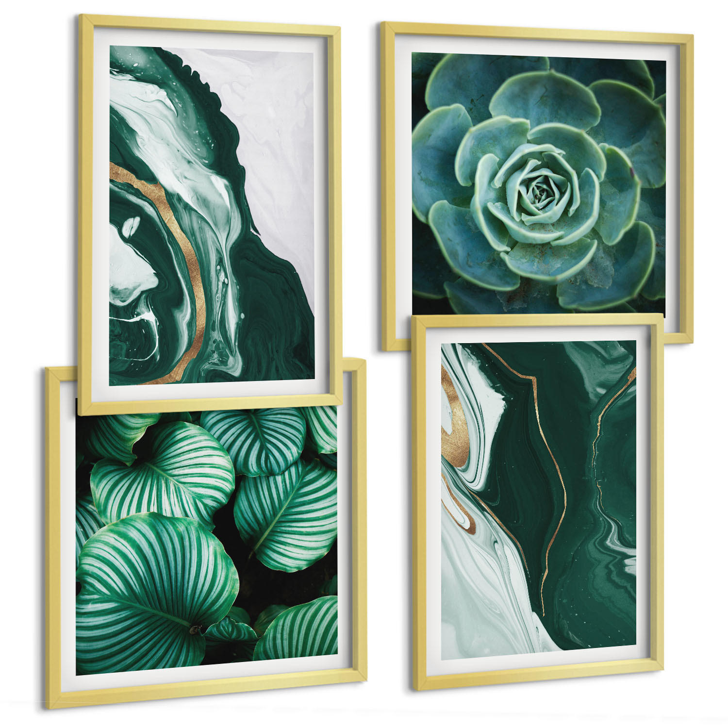 BILDER SET 4er Set - 50x50 cm & 40x60 cm Goldrahmen - Abstrakte Muster von Sukkulentenblättern - Goldfarben, Kunststoff (50/50cm) - TULUP