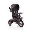 DREIRAD Jockey beige Gummireifen Musik Sitz drehbar Schubstange verstellbar - Beige, Metall (120/53.5/100cm)