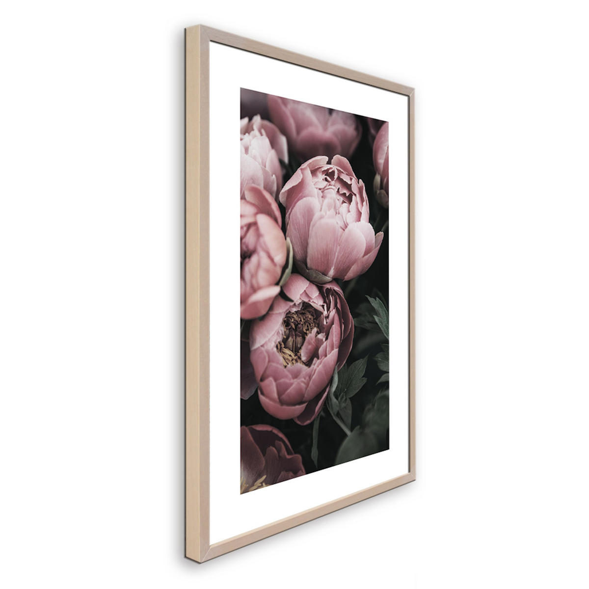 POSTER mit Rahmen 50x70 cm Pfingstrosen Rosé - Rosa, Holz (51/71cm) - artissimo