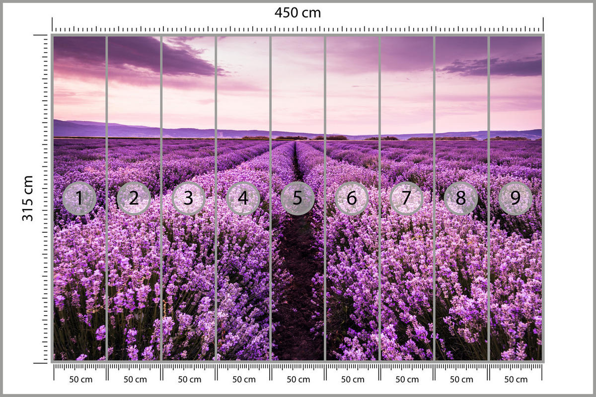 FOTOTAPETE für Schlafzimmer Lila Lavendel Wiese Harmonisch Romantisch 450x315 - Violett/Lila, Papier (450/315cm) - Muralo