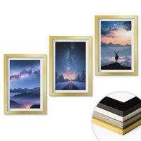 WANDBILDER 3er Set - 20x30 cm Goldrahmen - Nachthimmel Berge Nebel Hirsch - Goldfarben, Kunststoff (20/30cm) - ArtPrintCave