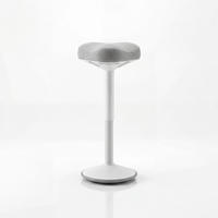 BALANCEHOCKER - Weiß/Grau, Metall (36/58/36cm)