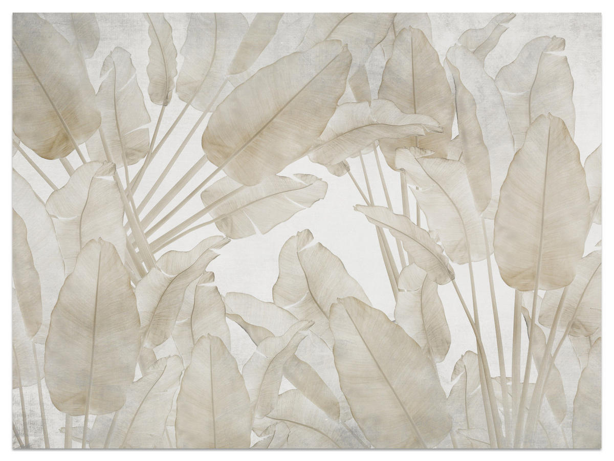FOTOTAPETE Beige Bananenblätter Tropische Pflanzen 200x140 - Beige/Braun, Papier (200/140cm) - Muralo