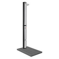 SOLARDUSCHE 35L 217cm Silber-Schwarz Fußdusche Bodenplatte Dunkelgrau - Dunkelgrau/Silberfarben, Kunststoff (17.5/217/13.5cm) - ML-DESIGN