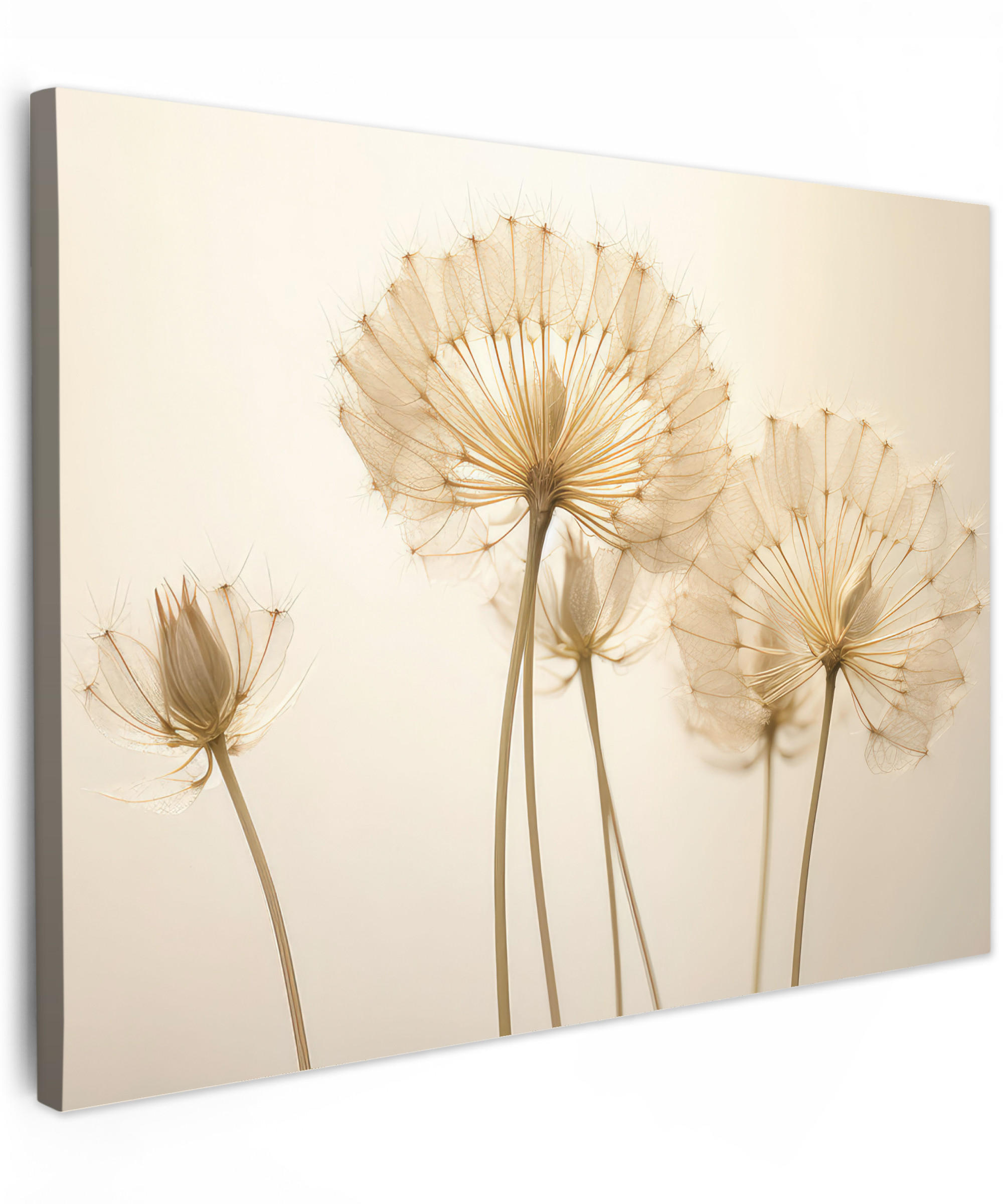 LEINWANDBILD Sonnenlicht - Löwenzahn - Botanisch - Blumen Wandbilder 80x60 cm - Creme, Textil (80/60cm) - MuchoWow
