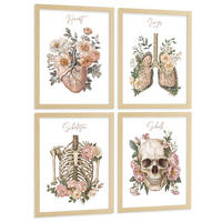 POSTER Set aus 4 Anatomie Mensch Florale Drucke und Wandbilder mit Herz Lungen Skelett und Schädel Stil Wanddekoration Größe Leichter Holzrahmen A4 - Beige, Papier (21/29.7/3cm) - Nacnic