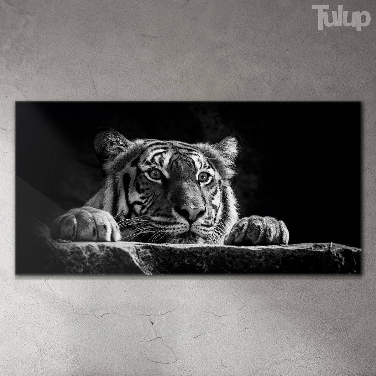 GLASBILD 120x60 cm Wildes Tier - Hellgrau/Schwarz, Glas (120/60cm) - TULUP