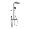 ÜBERKOPFBRAUSESET mit Handbrause Thermostat Vielseitig Anthrazit - Anthrazit, Metall (40/113/58cm) - EMKE