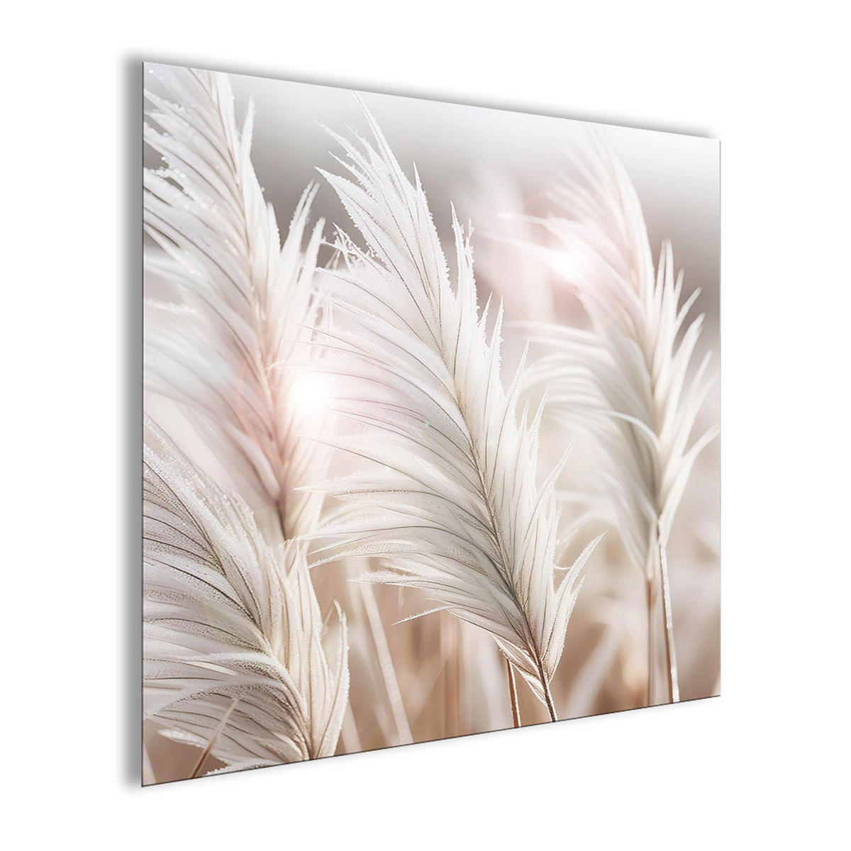 GLASBILD 50x50 cm Natur Pampasgras - Beige, Glas (50/50cm) - artissimo