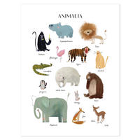 POSTER Animalia Lustige Tiere 30 x 40 cm - Ahornfarben, Papier (30/1/40cm) - Lilipinso