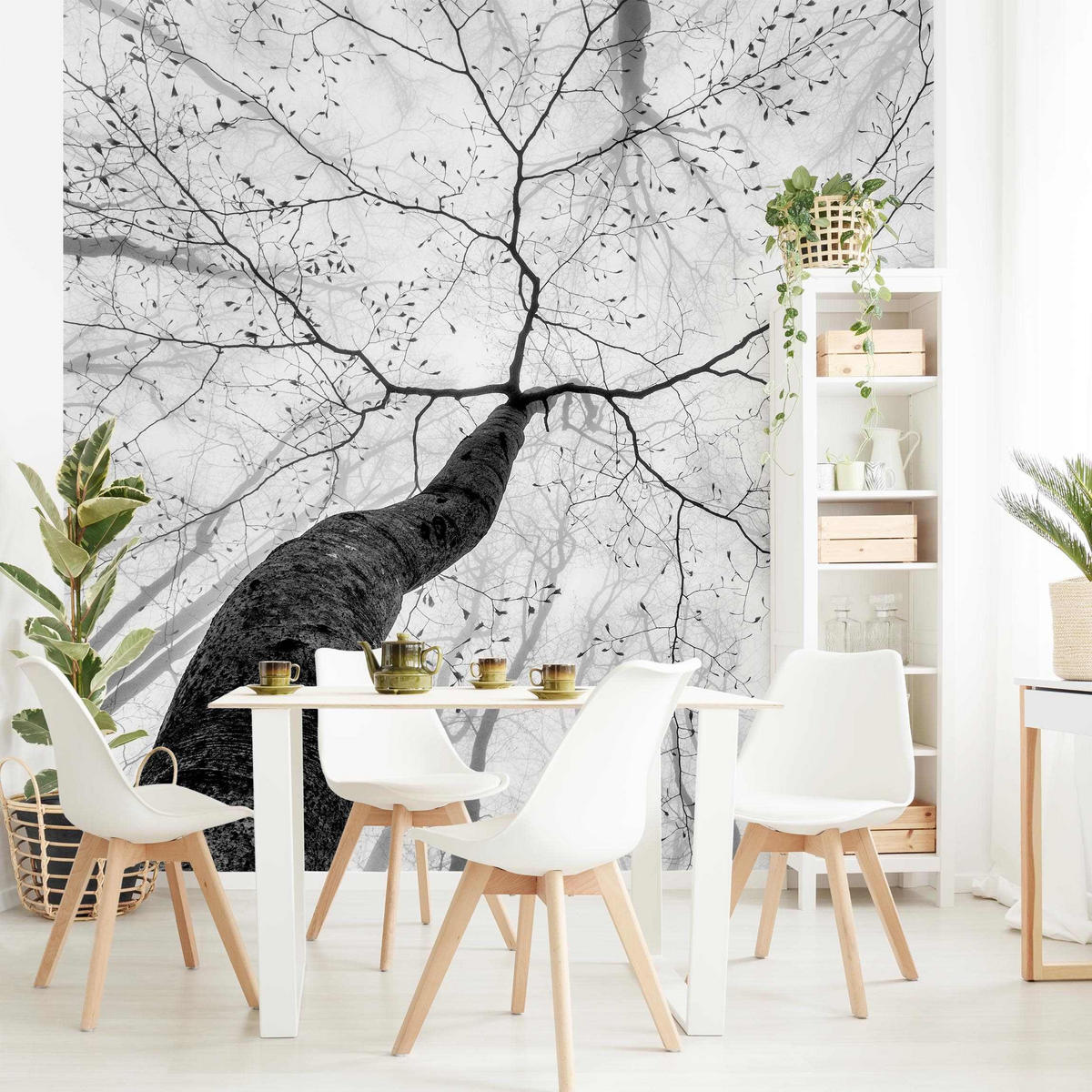 FOTOTAPETE Baumkronen im Himmel 240/240 cm - Schwarz, Papier (240/240cm) - Bilderwelten