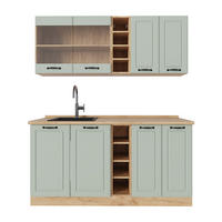 SINGLEKÜCHE R-Line, Mint Landhaus/Goldkraft Eiche, 160 cm Arbeitsplatte Goldkraft Eiche - Honigeiche/Grün, Holzwerkstoff (160/81.6/60cm) - Vicco