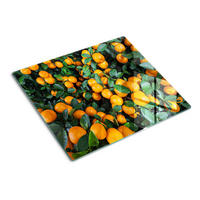 GLASPLATTE 60x52 cm Mandarinen - Orange, Glas (60/0.4/52cm) - TULUP