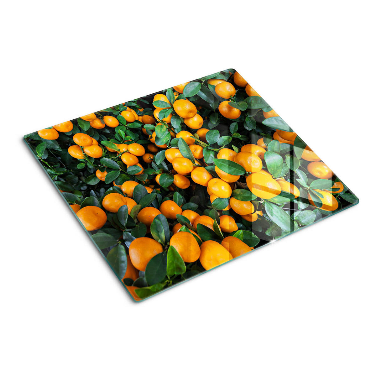 GLASPLATTE 60x52 cm Mandarinen - Orange, Glas (60/0.4/52cm) - TULUP