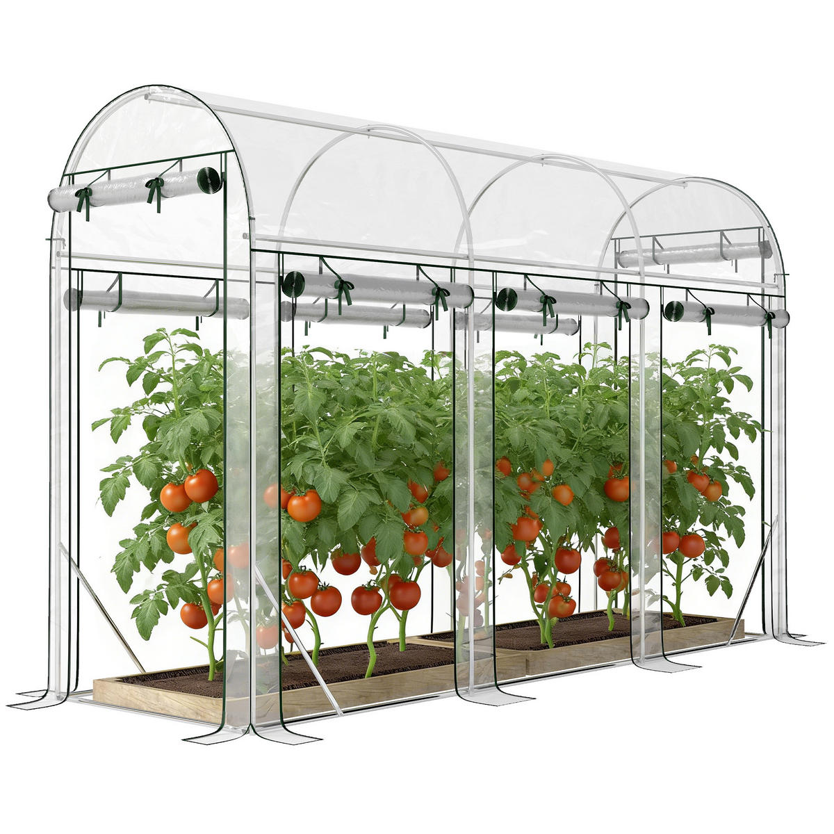 GEWÄCHSHAUS DE-12066 8 Rolltüren Transparent - Transparent, Metall (100/197/295cm) - ComfortXL