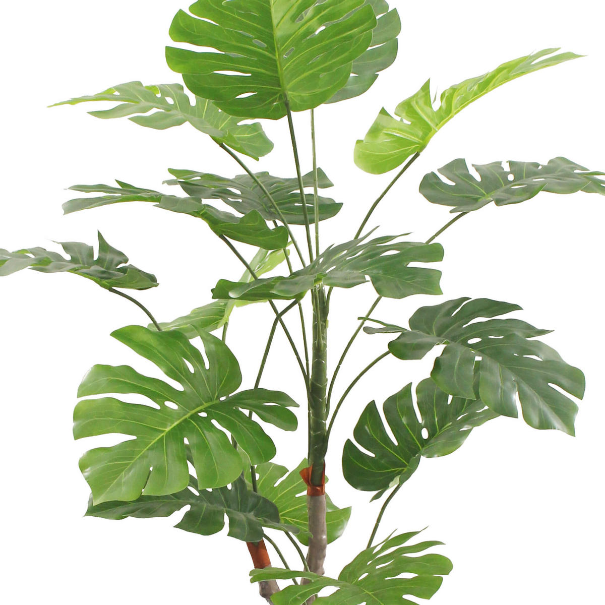 KUNSTPFLANZE Monstera 155 cm - Grün, Kunststoff (155cm)