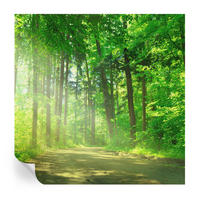 FOTOTAPETE 250x250 cm - Waldweg - Grün, Textil (250/250cm) - Wallfluent
