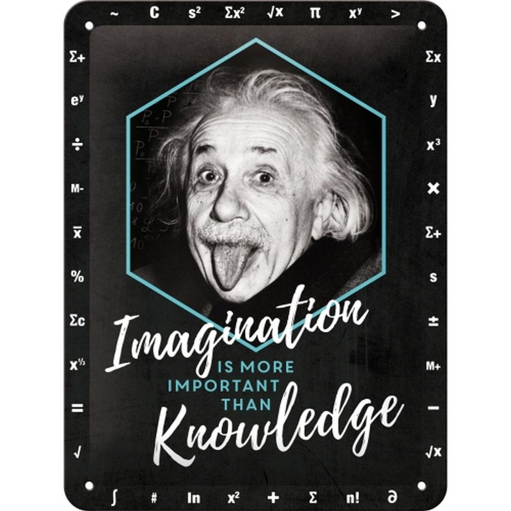 BLECHSCHILD 15/20 cm Einstein Imagination & Knowledge - Multicolor, Metall (15/20/0.5cm) - Nostalgic-Art