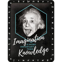 BLECHSCHILD 15/20 cm Einstein Imagination & Knowledge - Multicolor, Metall (15/20/0.5cm) - Nostalgic-Art
