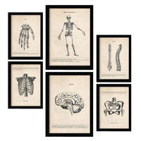POSTER Set Mit 6 Knochenanatomie Größe A3 & A4 Schwarzer Rahmen - Schwarz, Papier (29.7/1cm) - Nacnic