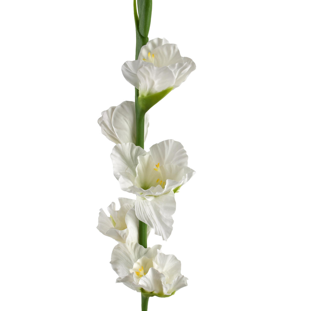KVĚTINA, plast, růžová - bílá, plast (85cm) - Mondex
