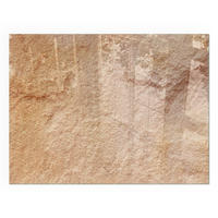 GLASPLATTE für Kamin 80x60 cm - Beige, Glas (80/60/0.4cm) - TULUP