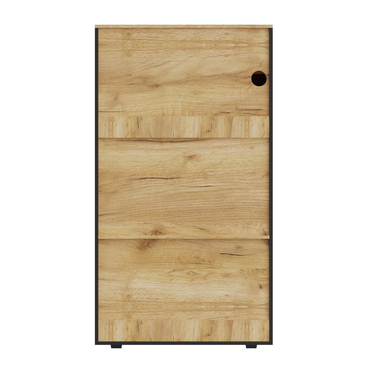 VITRINE 80/40/146 cm mit LED-Beleuchtung und Glastür in Schwarz - Schwarz, Holzwerkstoff (80/146/40cm) - BEAOK