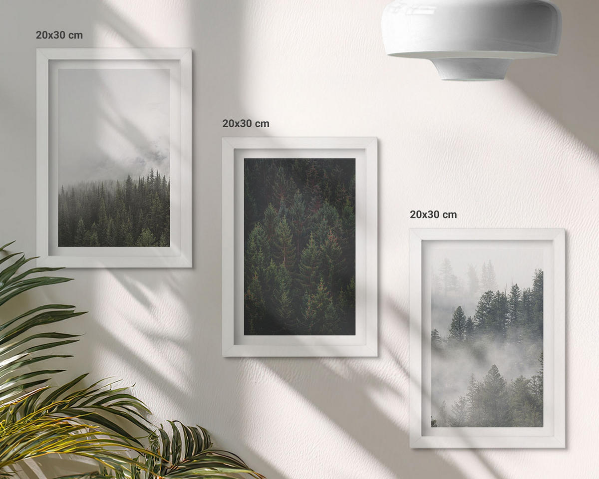 BILDER SET 3er Set - 20x30 cm Weißer Rahmen - Grüne Wälder Nebel Natur - Weiß, Kunststoff (20/30cm) - TULUP