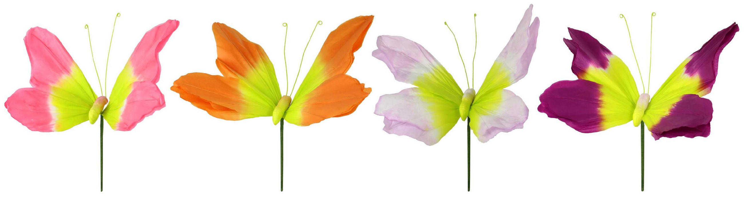 DEKOSCHMETTERLINGE Pappilon 50 cm - Multicolor, Papier (30/50/40cm) - FURNARO