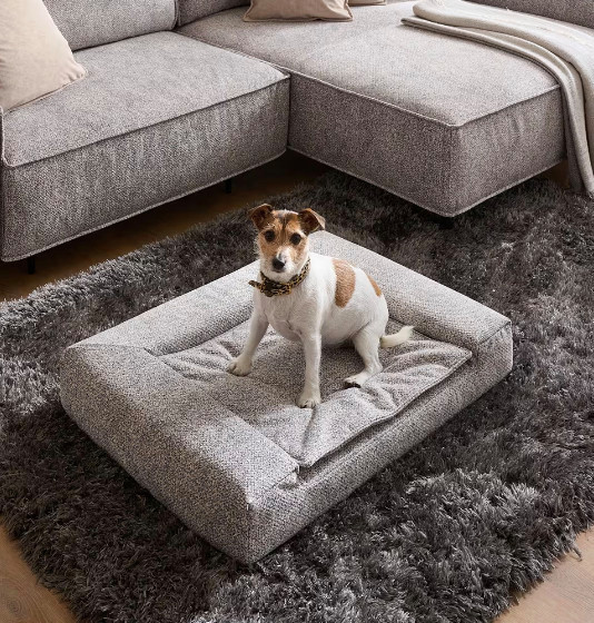 Tierkissen Hund & Katze