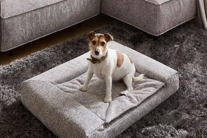 Tierkissen Hund & Katze