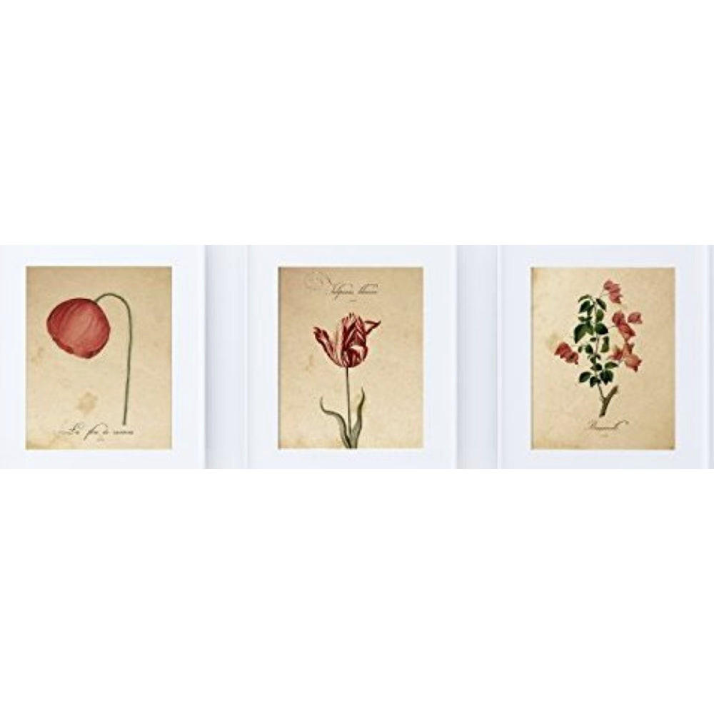 POSTER Set Mit 3 Blumen Vintage A4 Rahmenlos - Klar, Papier (29.7/5/21cm) - Nacnic
