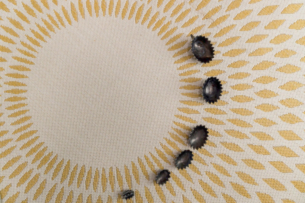 TEPPICH rund für innen und außen bunter gelb - Gelb, Textil (160/160cm) - AFK Living