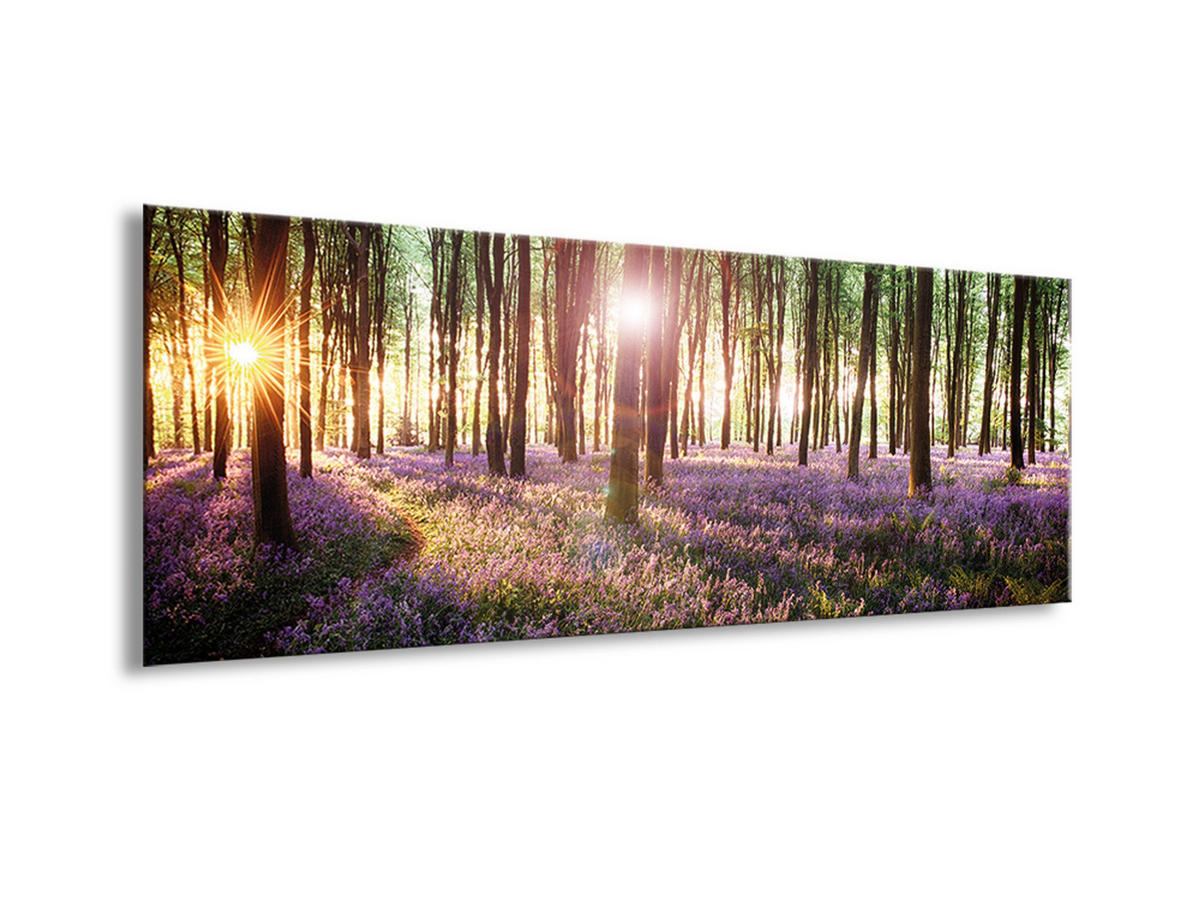 GLASBILD 80x30 cm Wald Lila Grün - Beige, Glas (80/30cm) - artissimo