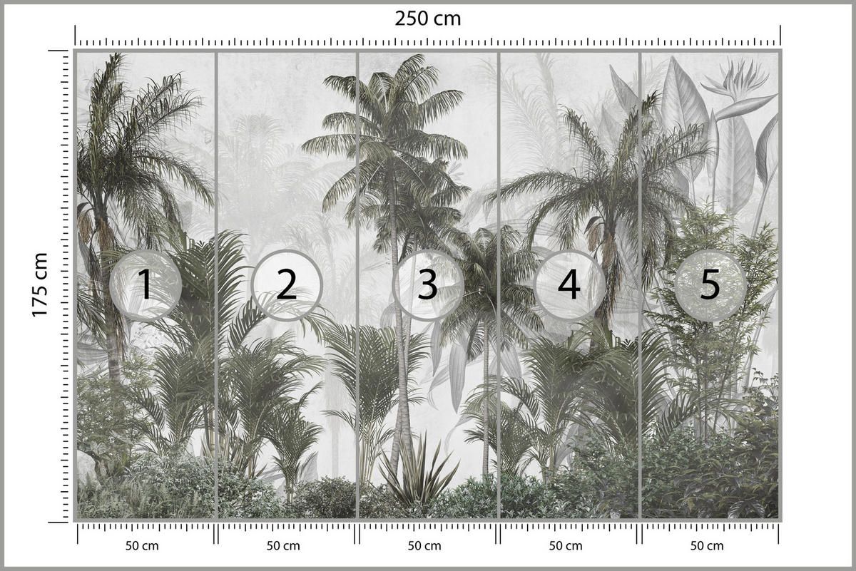 FOTOTAPETE für Wohnzimmer Natur Hohe Palmen Bäume Tropisch 250x175 - Grau/Grün, Papier (250/175cm) - Muralo