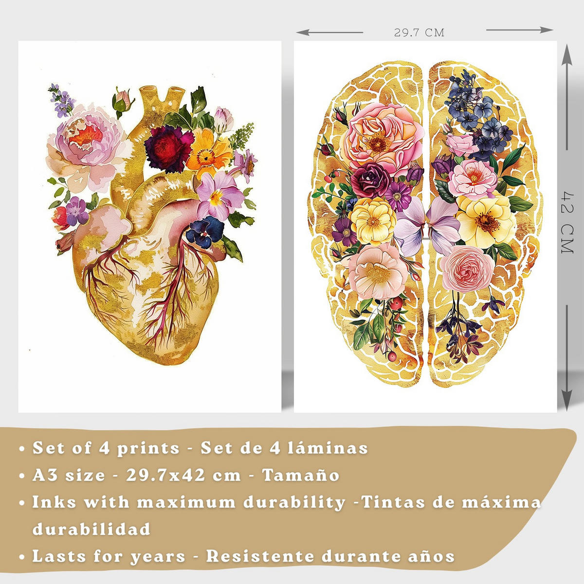 POSTER Set aus 4 Anatomie Mensch Drucke und Wandbilder mit Herz Gehirn Schädel Lungen Luftröhre Bronchien Goldener Floraler Stil Größe Rahmenlos A3 - Klar, Papier (29.7/42/3cm) - Nacnic