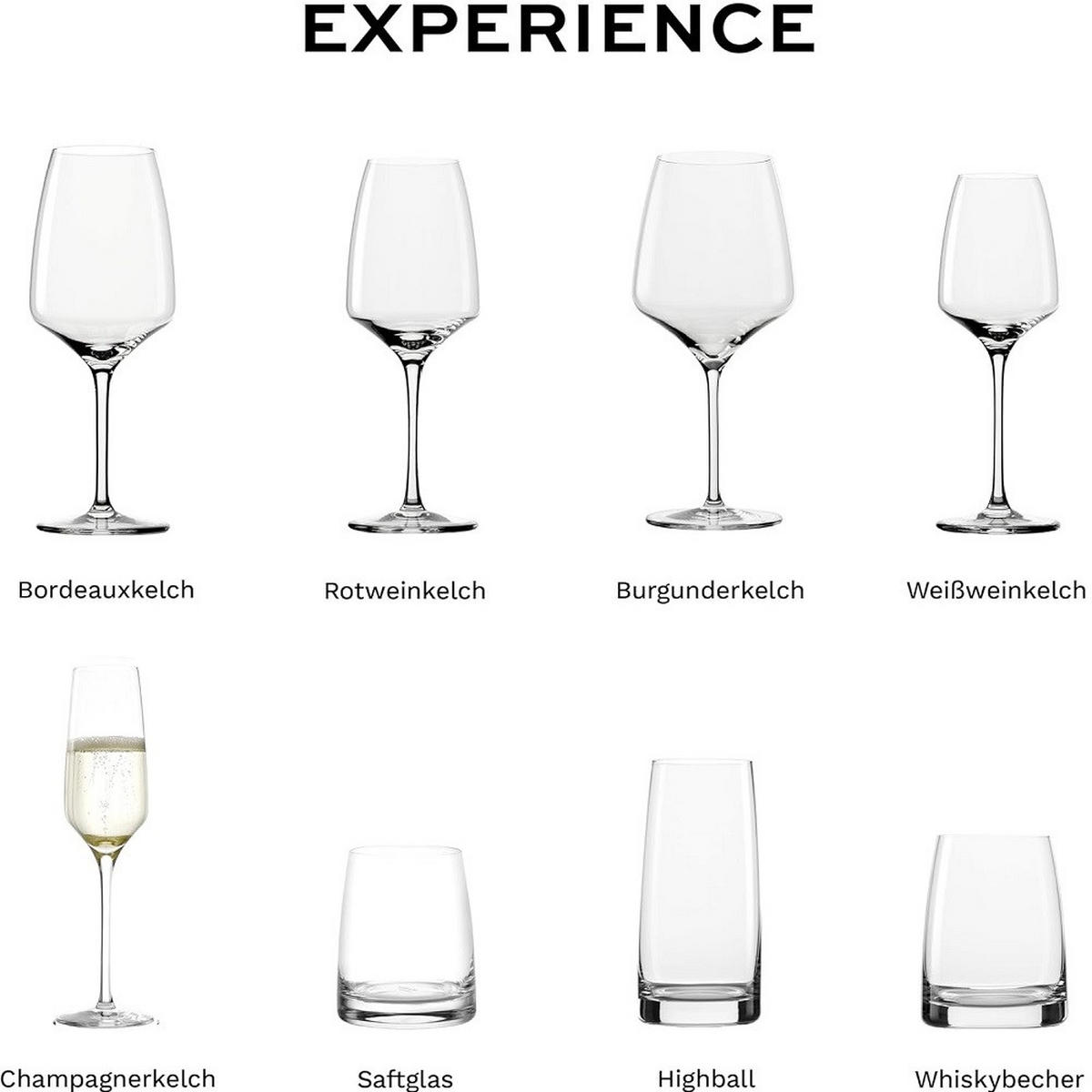 SEKTKELCH Experience 188 ml 6er Set - Transparent, Glas (0.188L) - Stölzle