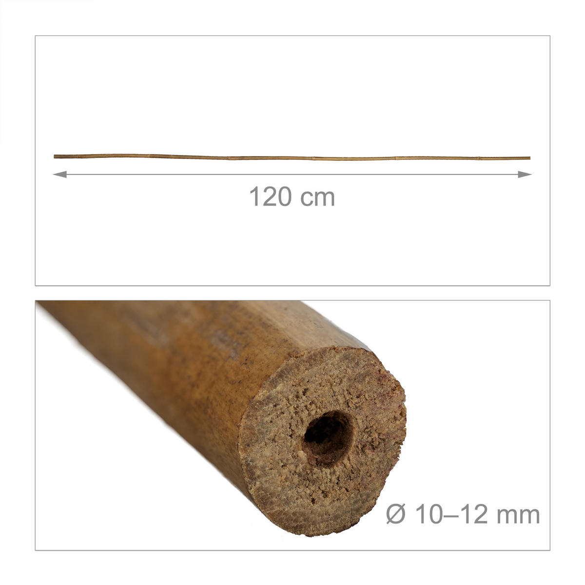 40XPFLANZSTÄBE - Hellbraun, Holz (1.2/120/1.2cm) - Relaxdays
