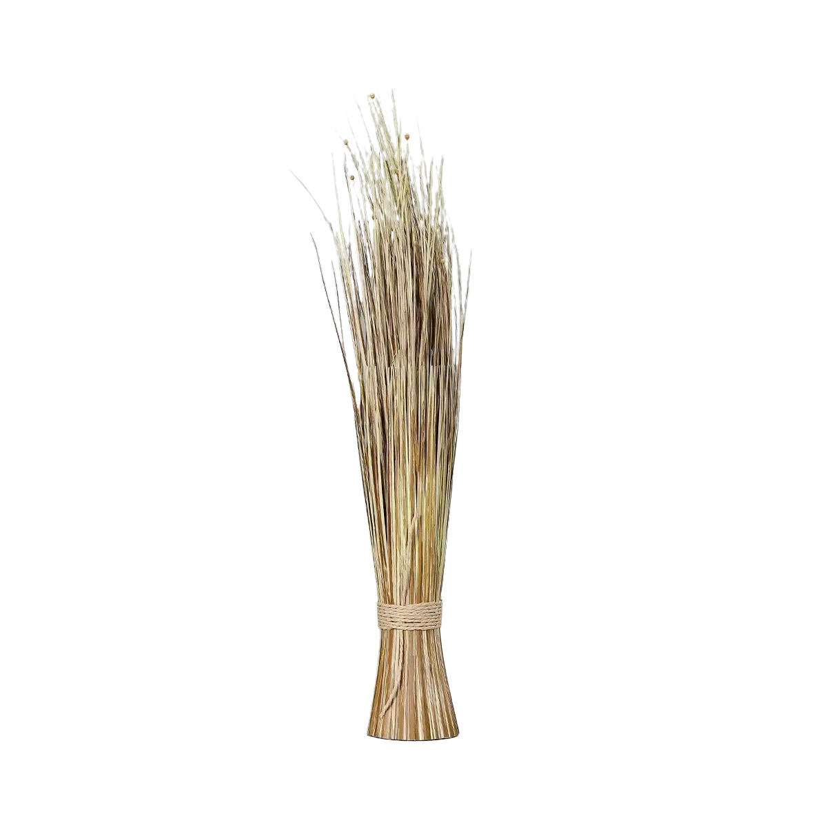 aplanta Gräser Creme 60 cm