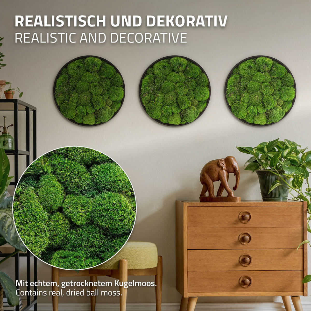 MOOSBILD Rund Ø 40 cm Mooswand Indoor mit Echtem Kugelmoos und Holzrahmen Grün Pflegefrei - Grün, Naturmaterialien (40/40/3cm) - ECD-Germany