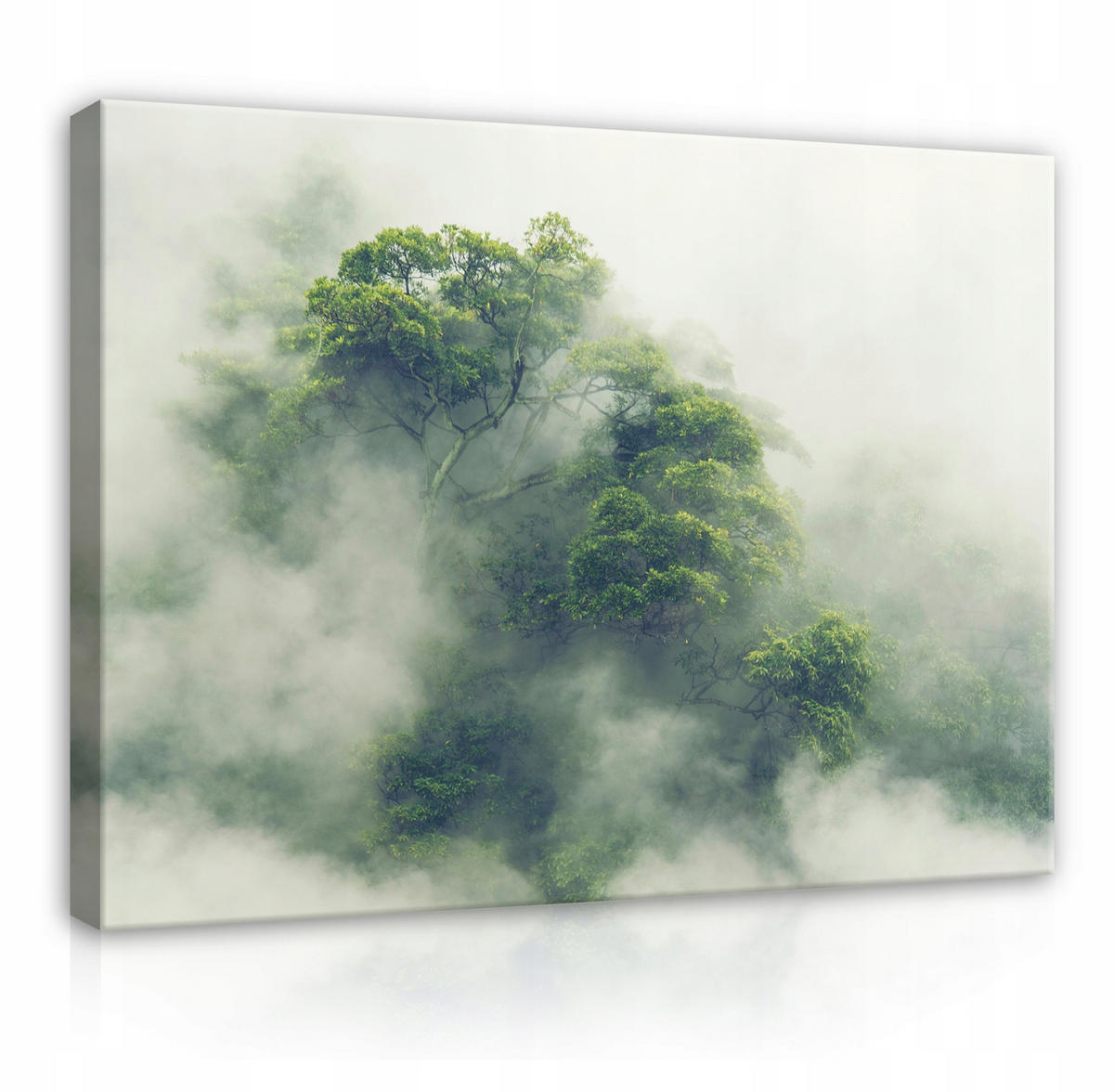 LEINWANDBILDER Wald im Nebel Natur 100x70 - Multicolor, Holzwerkstoff (100/70cm) - Wallarena